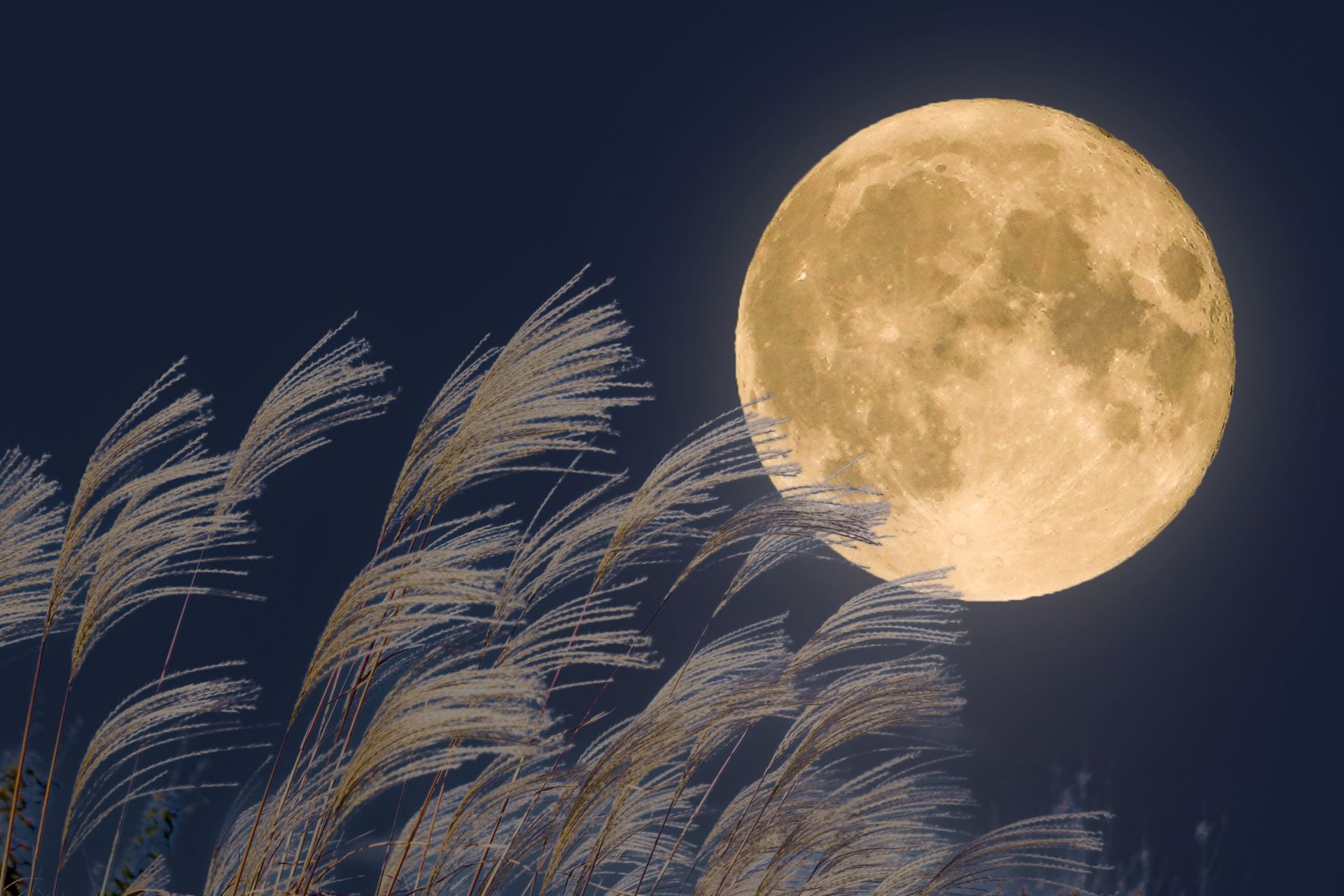 🔮 大切な10月✨大切なあなたへ🕊️